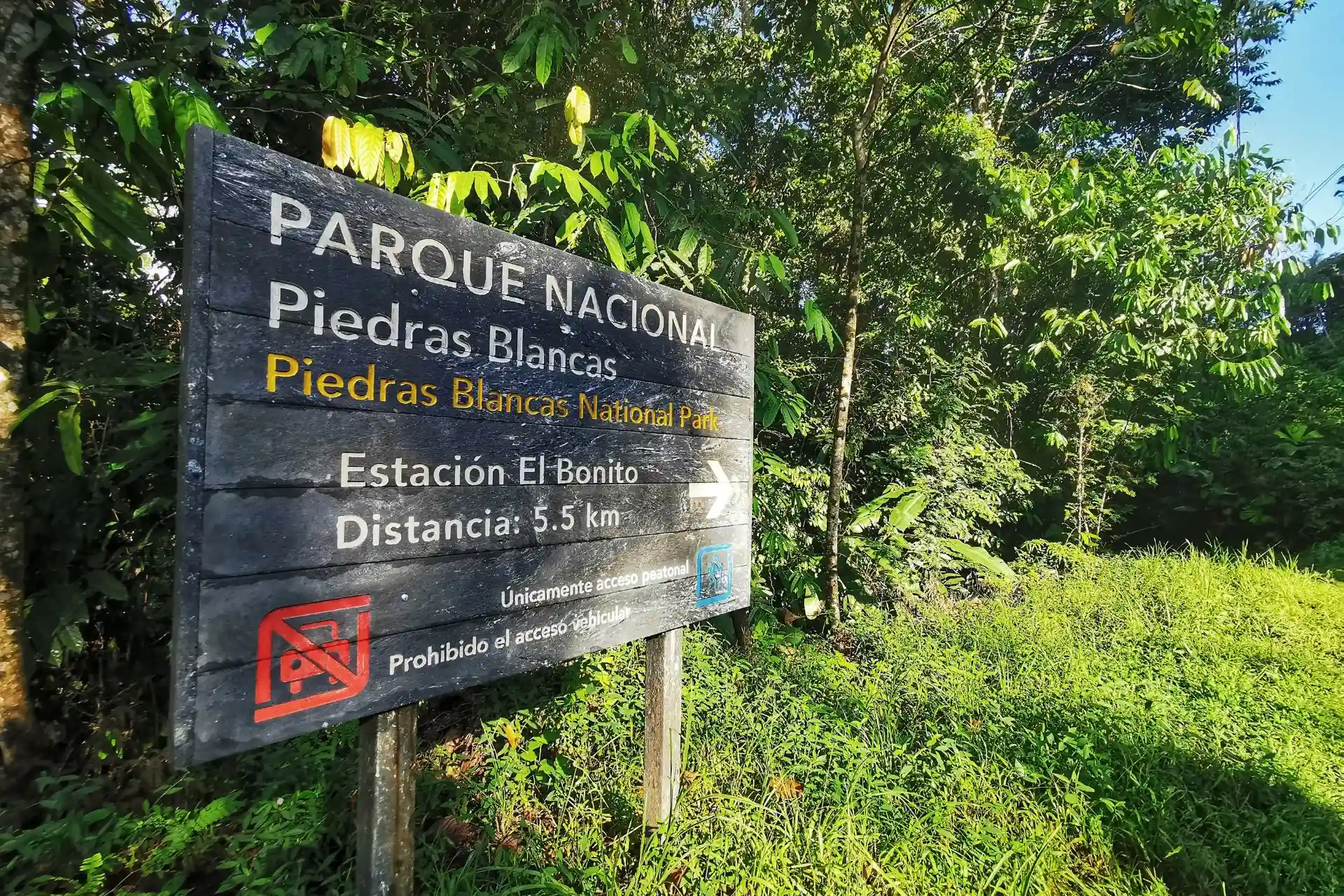 cruce Golfo Dulce Tour (3)