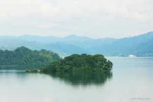 Isla Pelícano en el Golfo Dulce