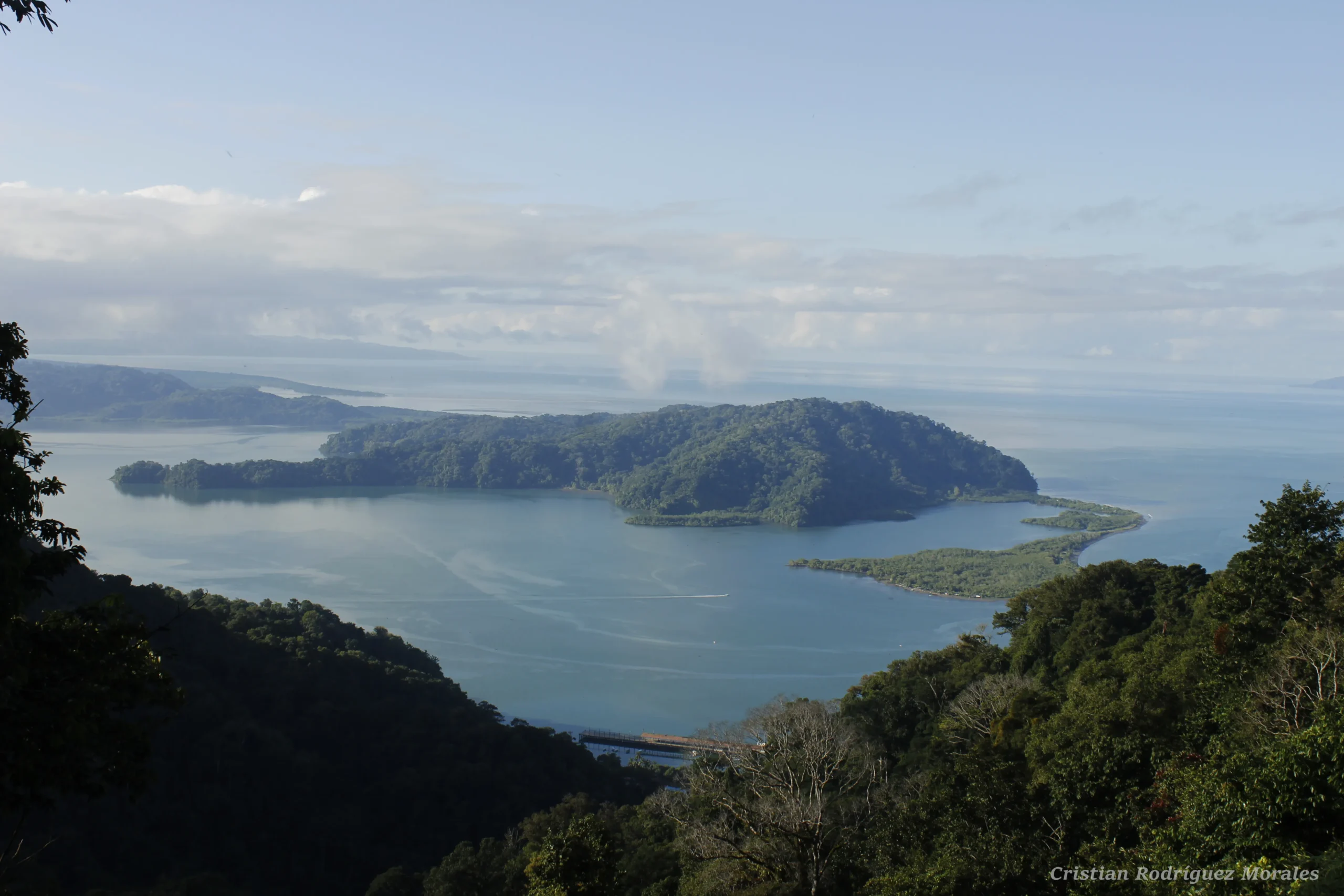 Vista del Golfo Dulce y la selva desde el Cerro Adams, Golfito
