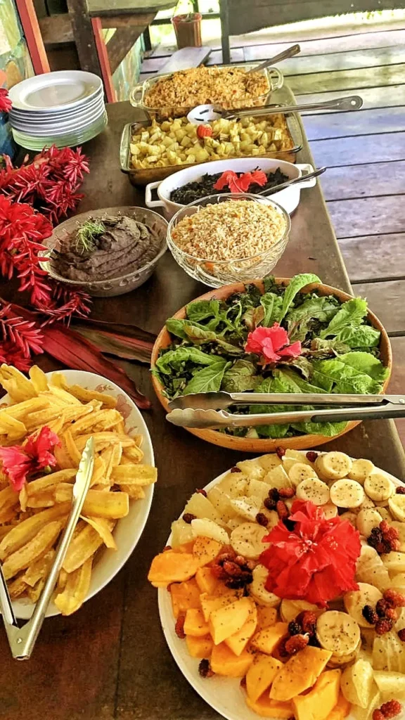 Almuerzo en Dolphin Quest, Golfo Dulce