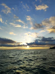 Golfo Dulce al atardecer, tour de bioluminiscencia