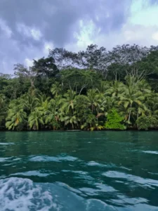 Golfo Dulce al atardecer, tour de bioluminiscencia
