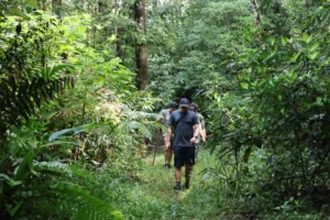 Cruce al Golfo Dulce con Krü Adventure