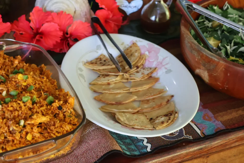 Almuerzo en Dolphin Quest, Golfo Dulce