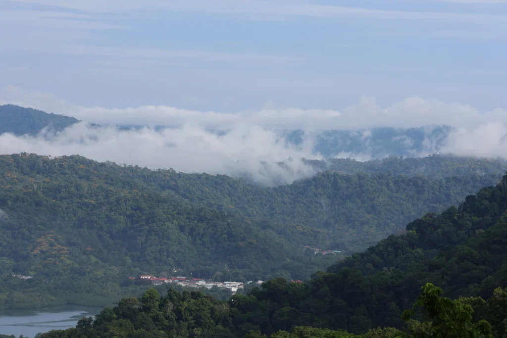 Vista de la bahía de Golfito