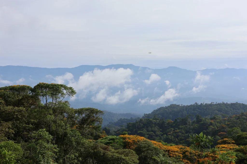 Vista de la bahía de Golfito