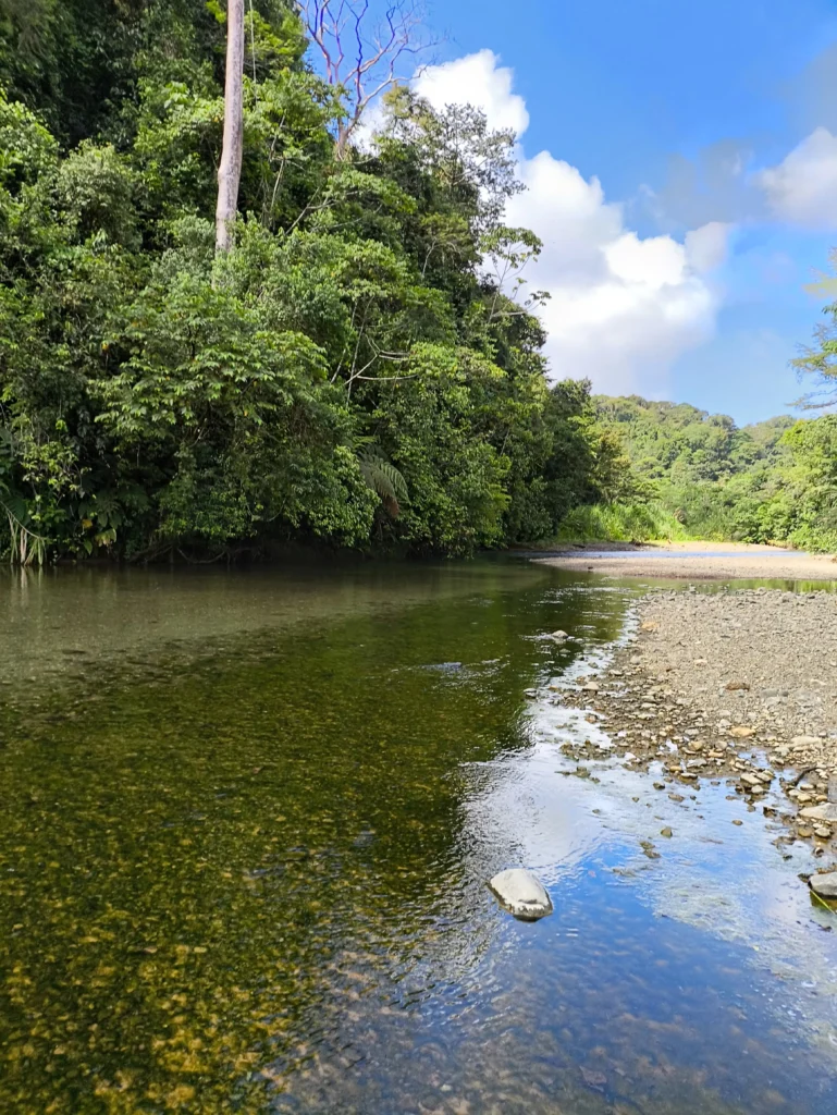 Selva del Pacífico Sur con Krü Adventure