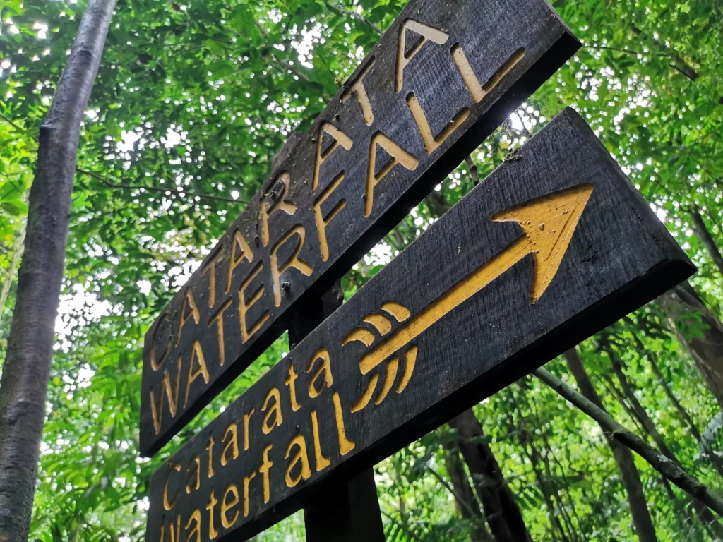 Selva del Pacífico Sur con Krü Adventure