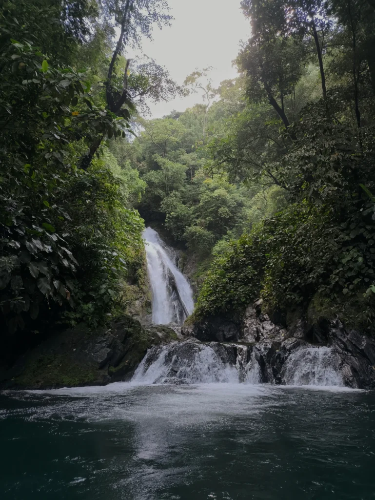 Selva del Pacífico Sur con Krü Adventure