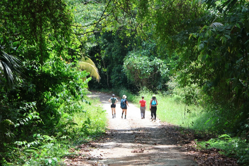 Selva del Pacífico Sur con Krü Adventure