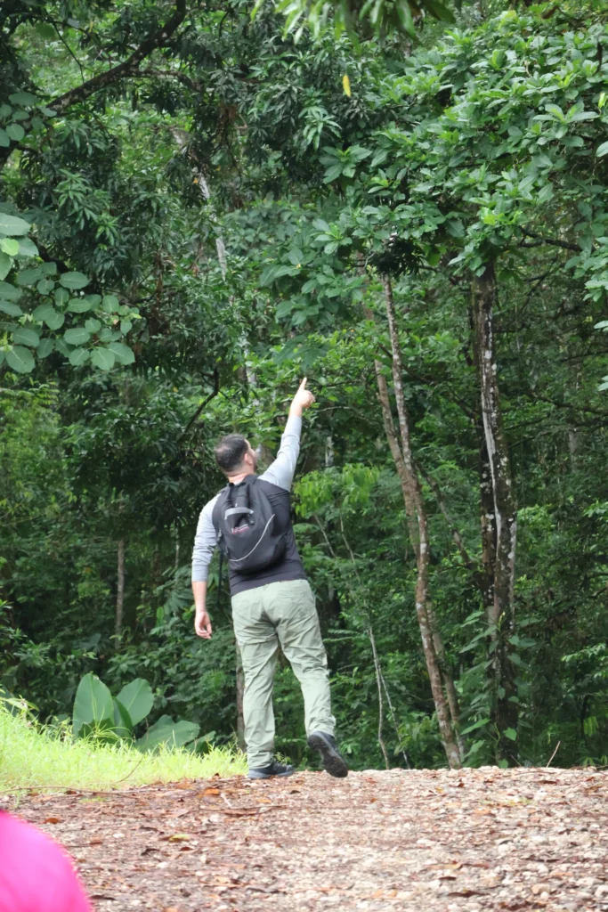 Selva del Pacífico Sur con Krü Adventure