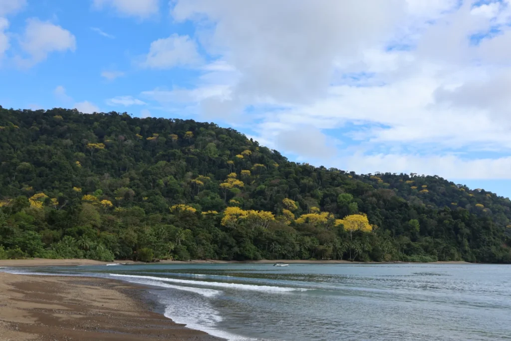 Golfo Dulce, Pacífico Sur de Costa Rica