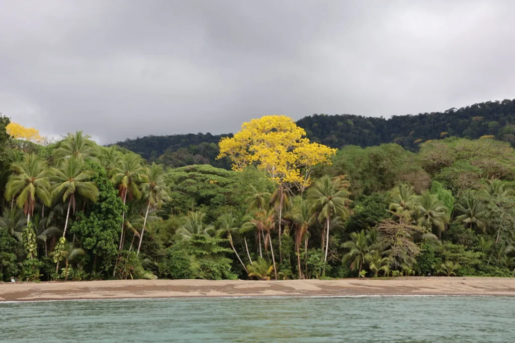 Golfo Dulce, Pacífico Sur de Costa Rica