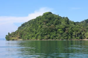 Golfo Dulce, Pacífico Sur de Costa Rica