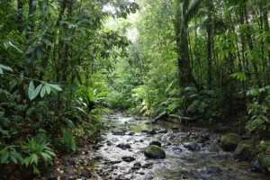 Parque Nacional Piedras Blancas